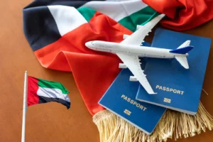 Read more about the article Top Reasons Your Emirates Visa Might Get Rejected